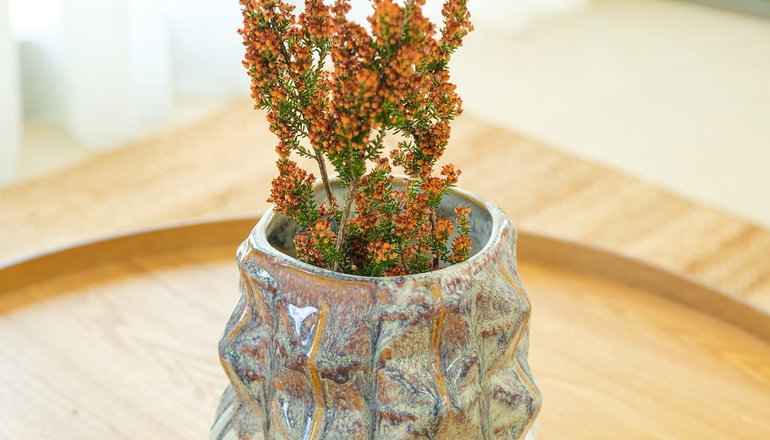 Etheras Properties - Διακόφτι, Κύθηρα