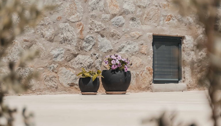 Naxos Privilege Villas - Αγία Άννα, Νάξος