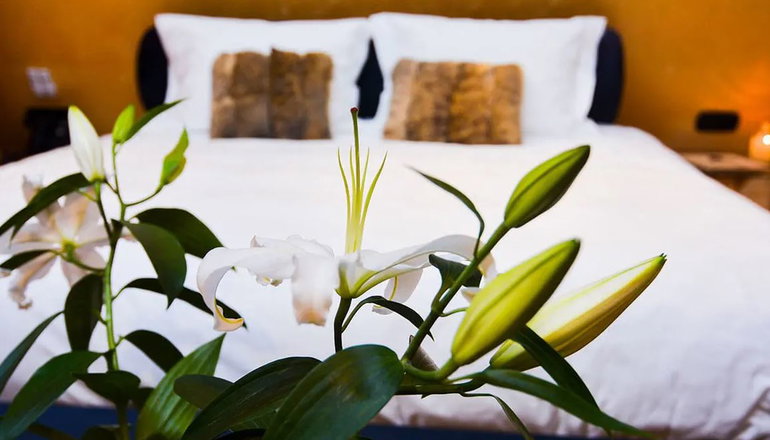 4* 3 Hills Boutique The Ranch Experience - Τρίλοφος, Πιερία
