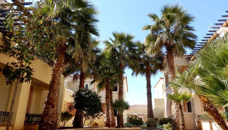 4* Messina Resort - Καλό Νερό, Κυπαρισσία