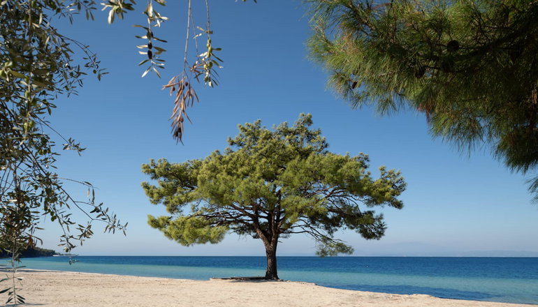 4* A For Art Hotel - Λιμένας, Θάσος