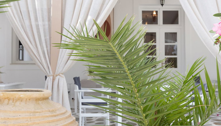 Acoya Residences - Παραλία Αλυκή, Πάρος