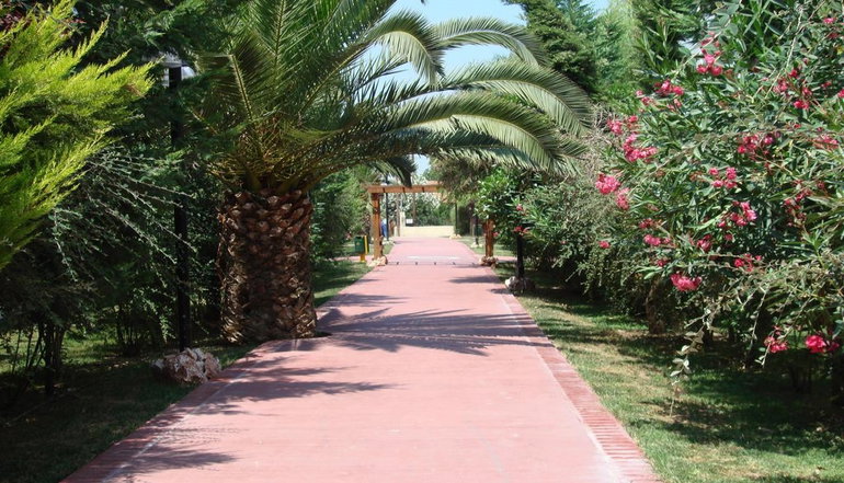 4* Alkyon Resort Hotel & Spa