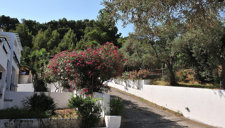 4* Anamar Skiathos Hotel