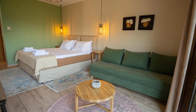 4* Anavasi Mountain Resort - Τζουμέρκα
