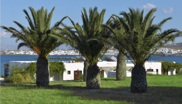 4* PORTO PAROS HOTEL VILLAS & AQUAPARK