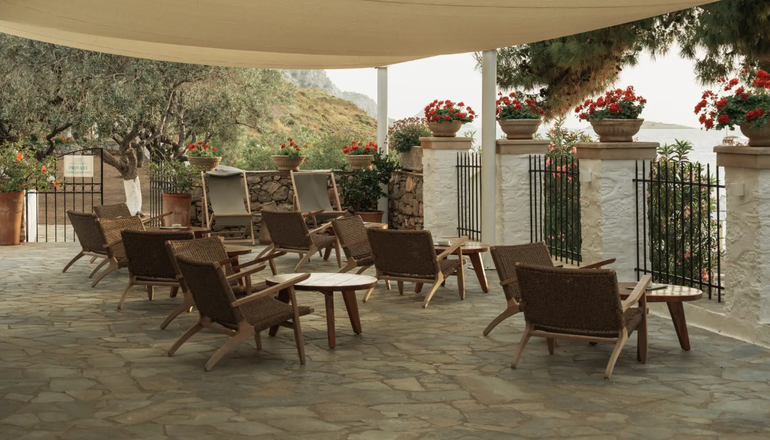 4* Bellevalia
