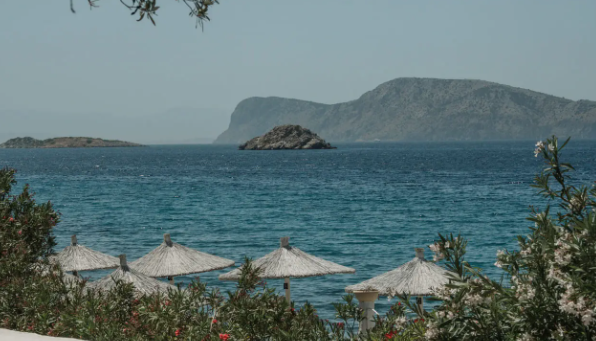 4* Bellevalia