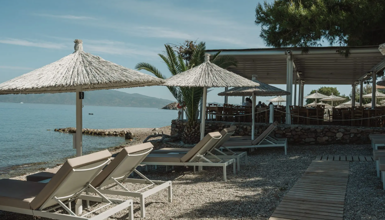 4* Bellevalia