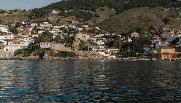 4* Bellevalia