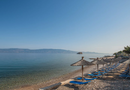 4* Bellevalia