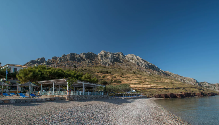 4* Bellevalia