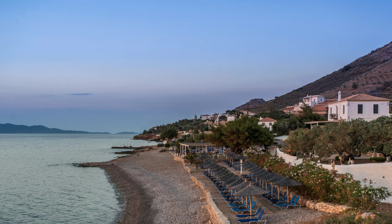 4* Bellevalia