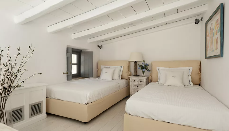 4* Bellevalia
