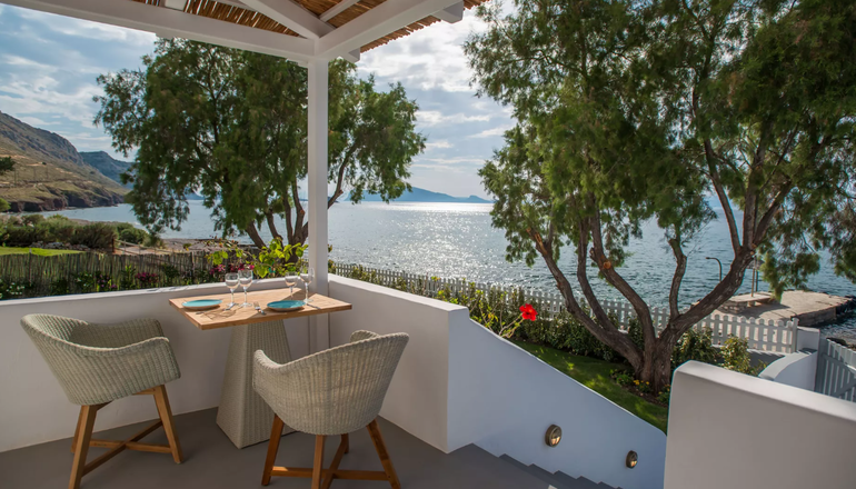 4* Bellevalia