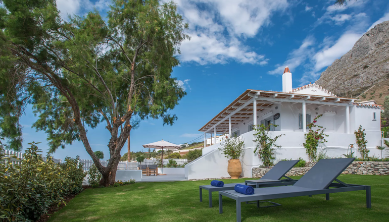 4* Bellevalia
