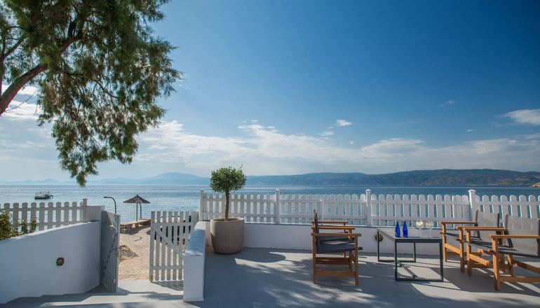4* Bellevalia