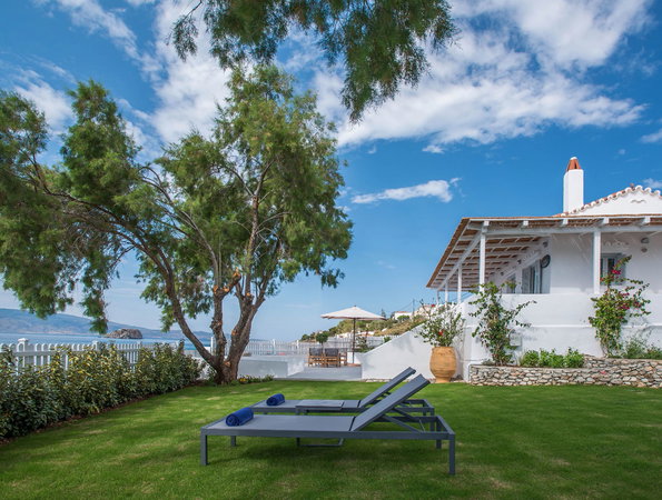 4* Bellevalia