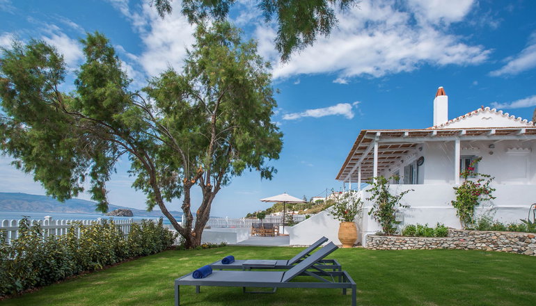 4* Bellevalia