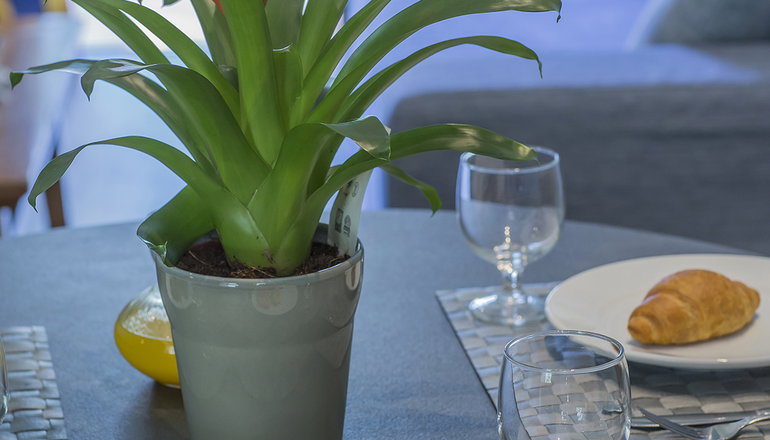 4* Golden Coast Hotel & Bungalows