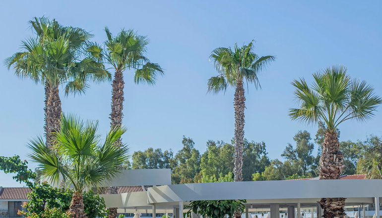 4* Golden Coast Hotel & Bungalows