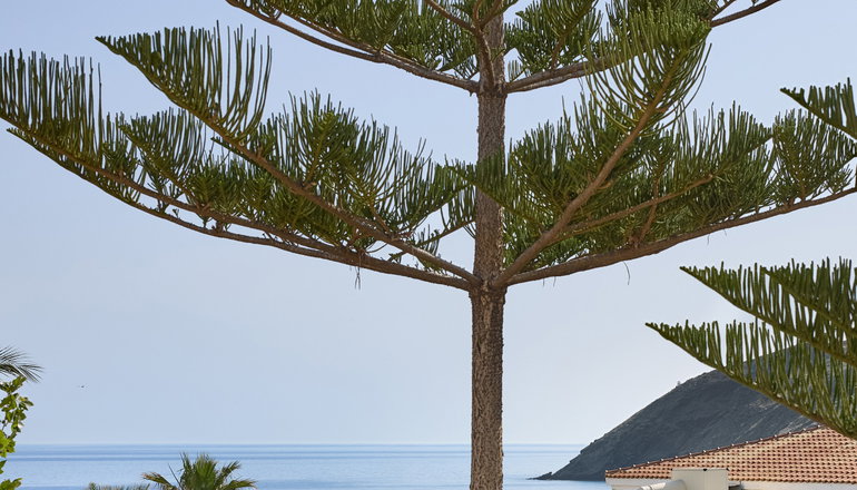 4* Grecotel Marine Palace & Aqua Park - Ρέθυμνο, Κρήτη