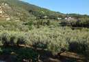 4* Hotel Prince Stafilos - Χώρα, Σκόπελος