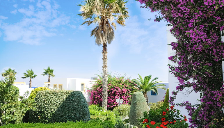 4* Mastichari Bay Hotel