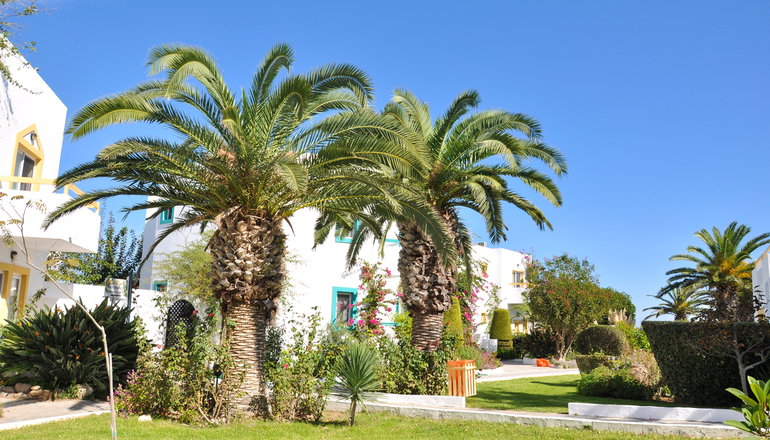 4* Mastichari Bay Hotel