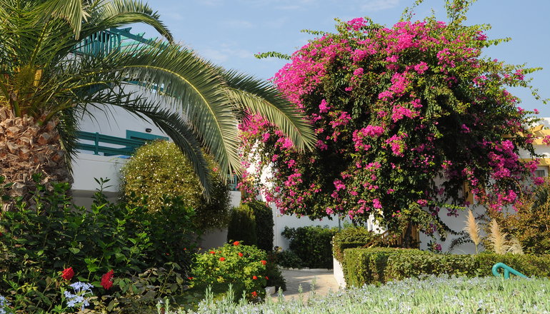 4* Mastichari Bay Hotel