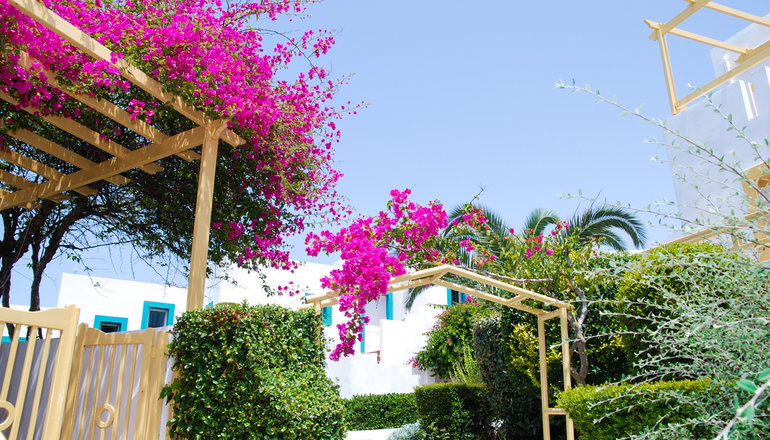 4* Mastichari Bay Hotel