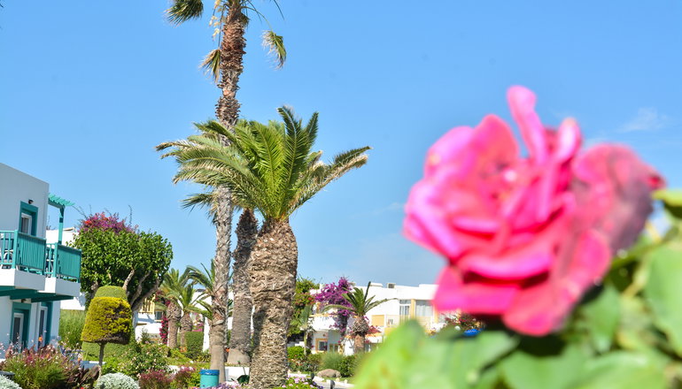 4* Mastichari Bay Hotel