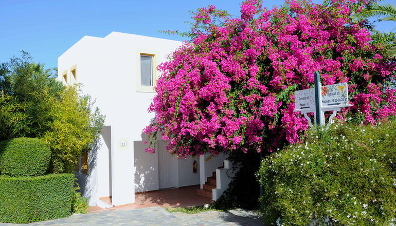 4* Mastichari Bay Hotel