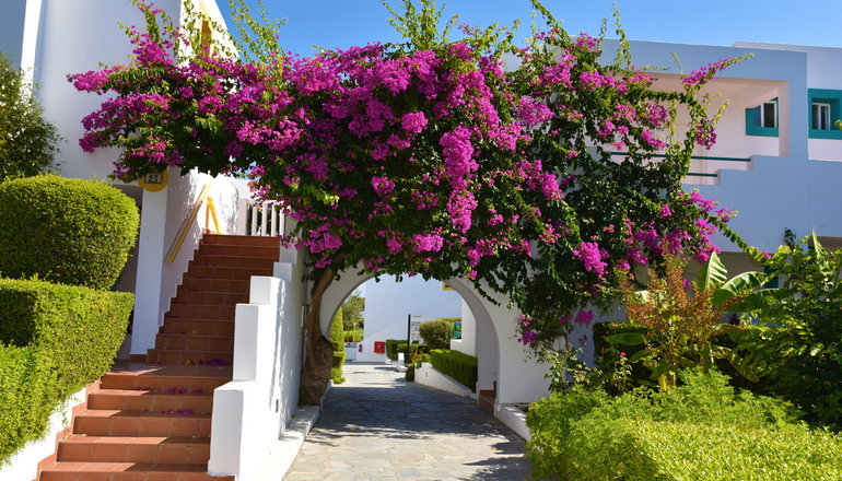 4* Mastichari Bay Hotel