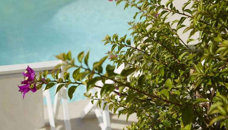 4* Mon Repos Palace - Ανεμόμυλος, Κέρκυρα
