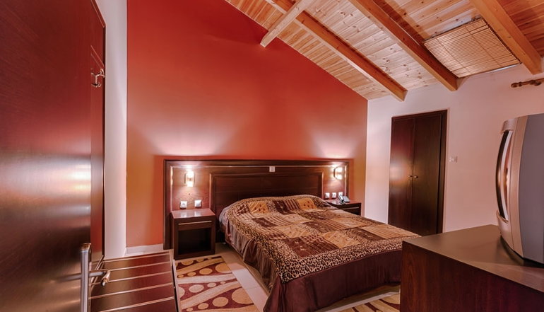 4* Mouzaki Palace Hotel & Spa - Καρδίτσα