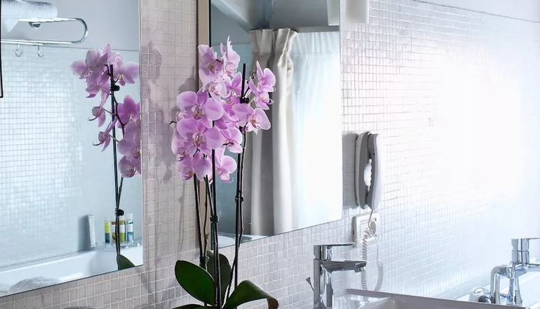 4* Rimondi Boutique Hotels