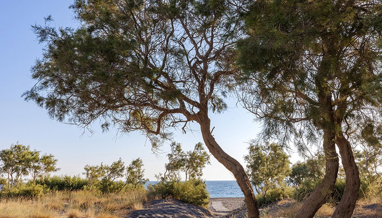 4* Scorpios Beach Hotel -  Μονόλιθος, Σαντορίνη