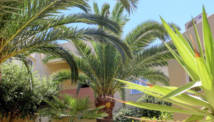 4* Theo Hotel - Χανιά, Κρήτη