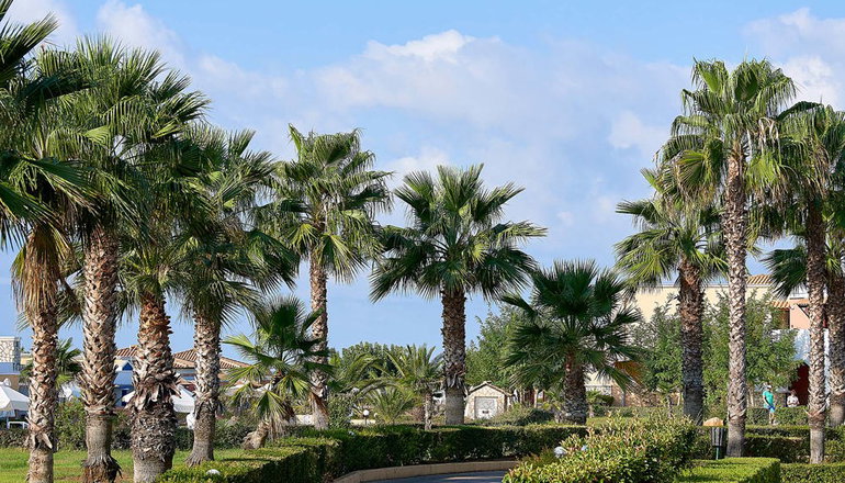 5* Aldemar Olympian Village - Σκαφιδιά, Ηλεία