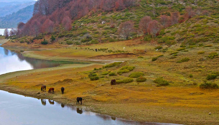 5* Grand Forest Metsovo