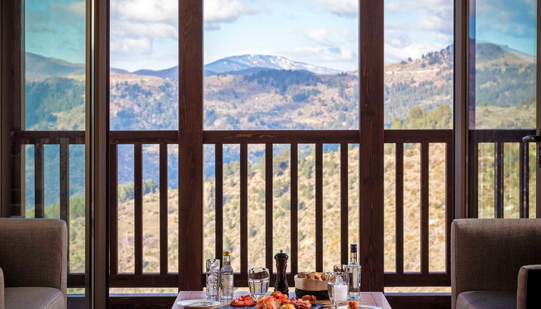 5* Grand Forest Metsovo