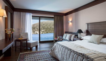 5* Grand Forest Metsovo - Μέτσοβο