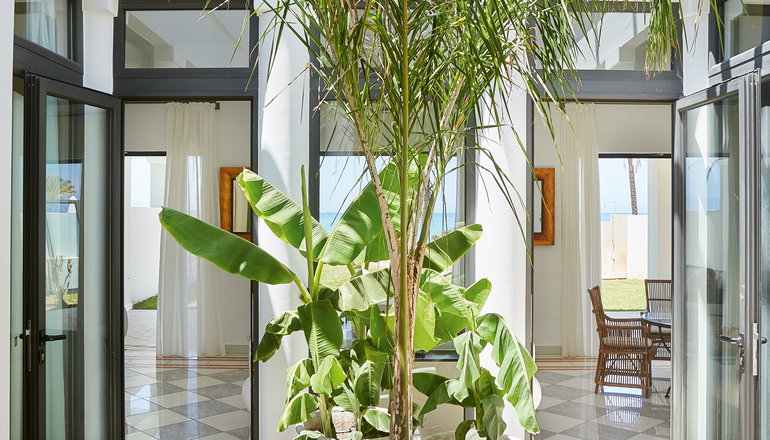 5* Mandola Rosa at Riviera Olympia, A Grecotel Resort to Live - Κυλλήνη
