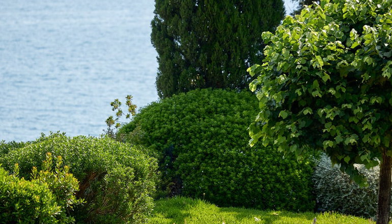 5* MarBella Corfu