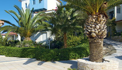 5* Rethymno Mare Royal Hotel - Σκαλέτα, Ρέθυμνο, Κρήτη