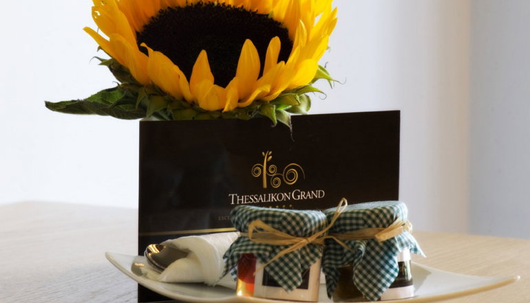 5* Thessalikon Grand Hotel - Μητρόπολη, Καρδίτσα