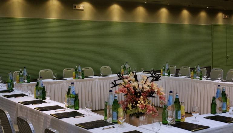 5* Thessalikon Grand Hotel - Μητρόπολη, Καρδίτσα