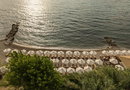 5* Valmar Corfu by Louis Hotels  -Άγιος Ιωάννης Μελιτειέων, Κέρκυρα