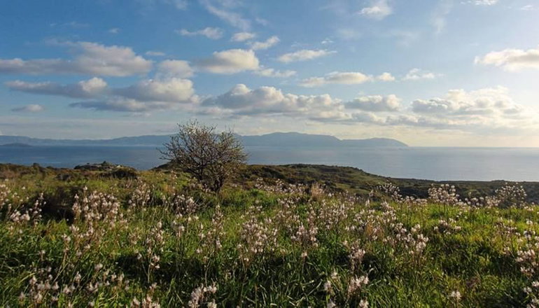 Hidden Retreats